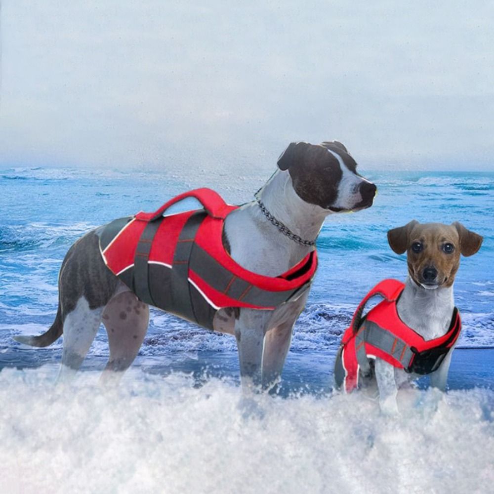 Reflective Dog Life Jacket Adj - Life Jacket Buoyancy ulasan dan harga