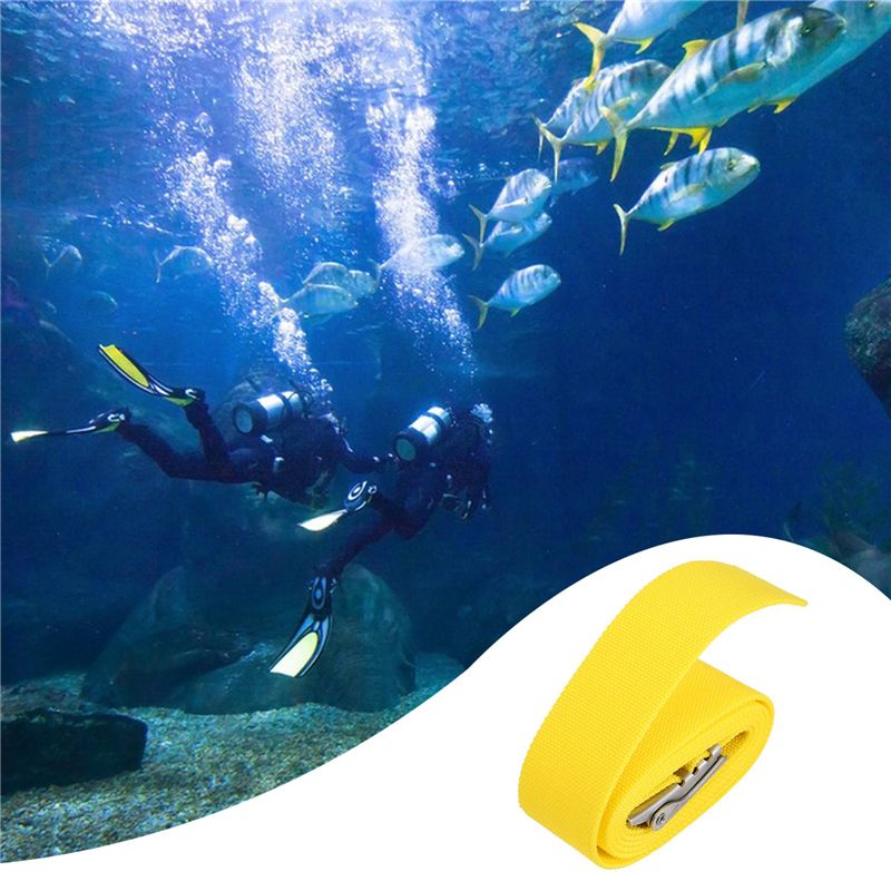 NALFI-Scuba Diving Equipment 1 - Dive Weight Belt ulasan dan harga