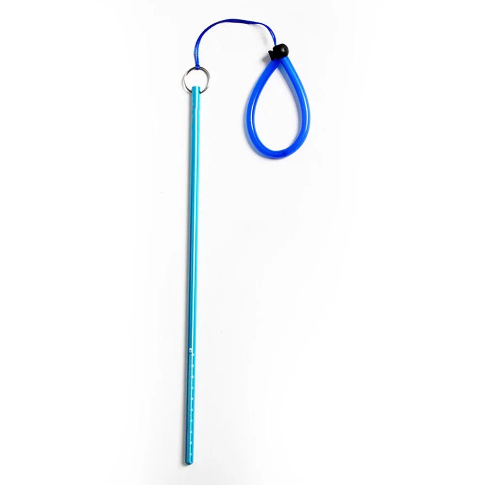 Scuba Dive Lobster Stick Point - Aquatic Diving ulasan dan harga